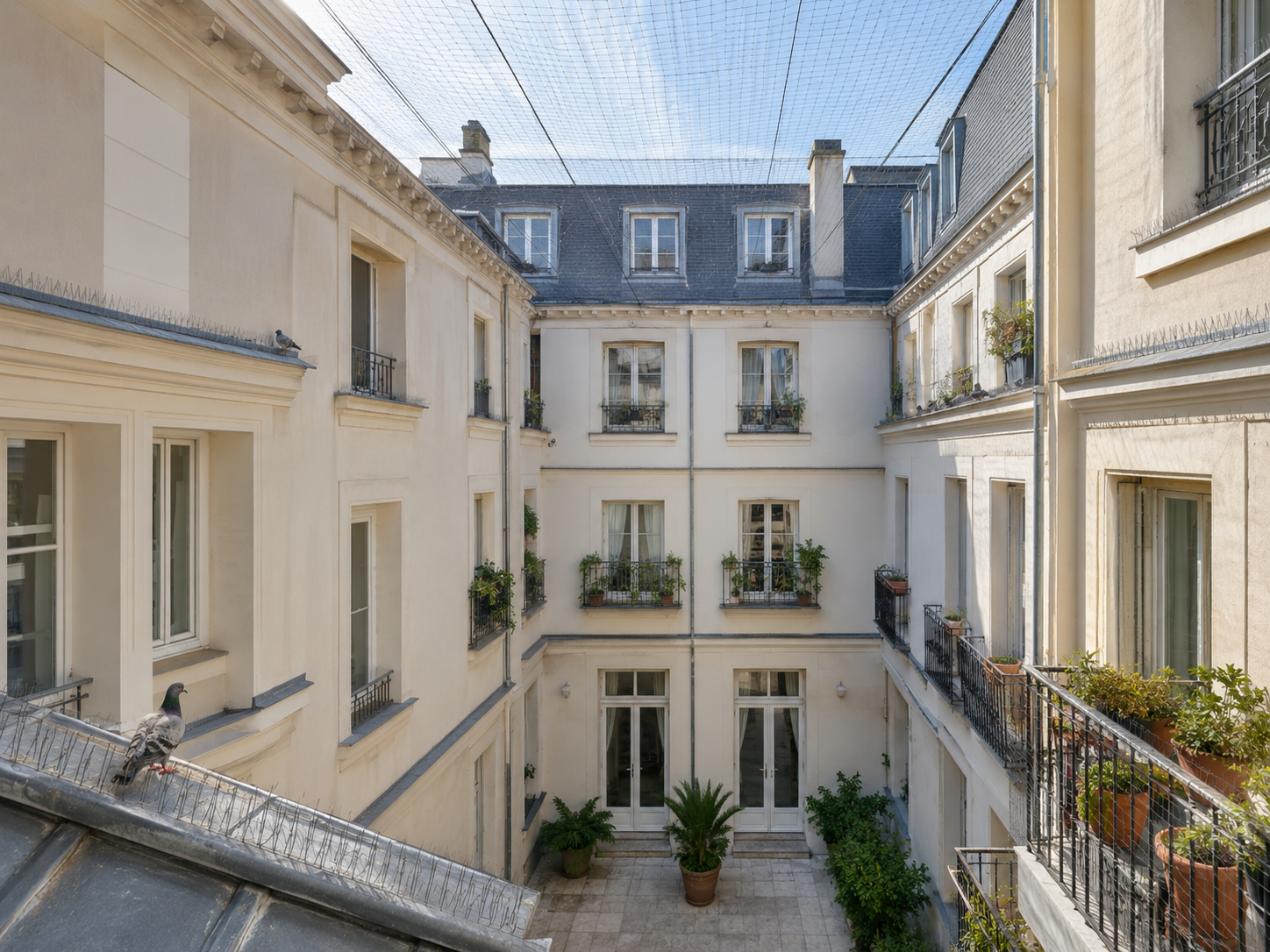 Lire la suite à propos de l’article Comment protéger une cour intérieure des pigeons ?