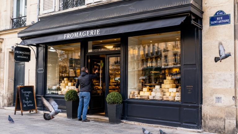 Lire la suite à propos de l’article Nos conseils pour protéger un commerce des salissures de pigeons